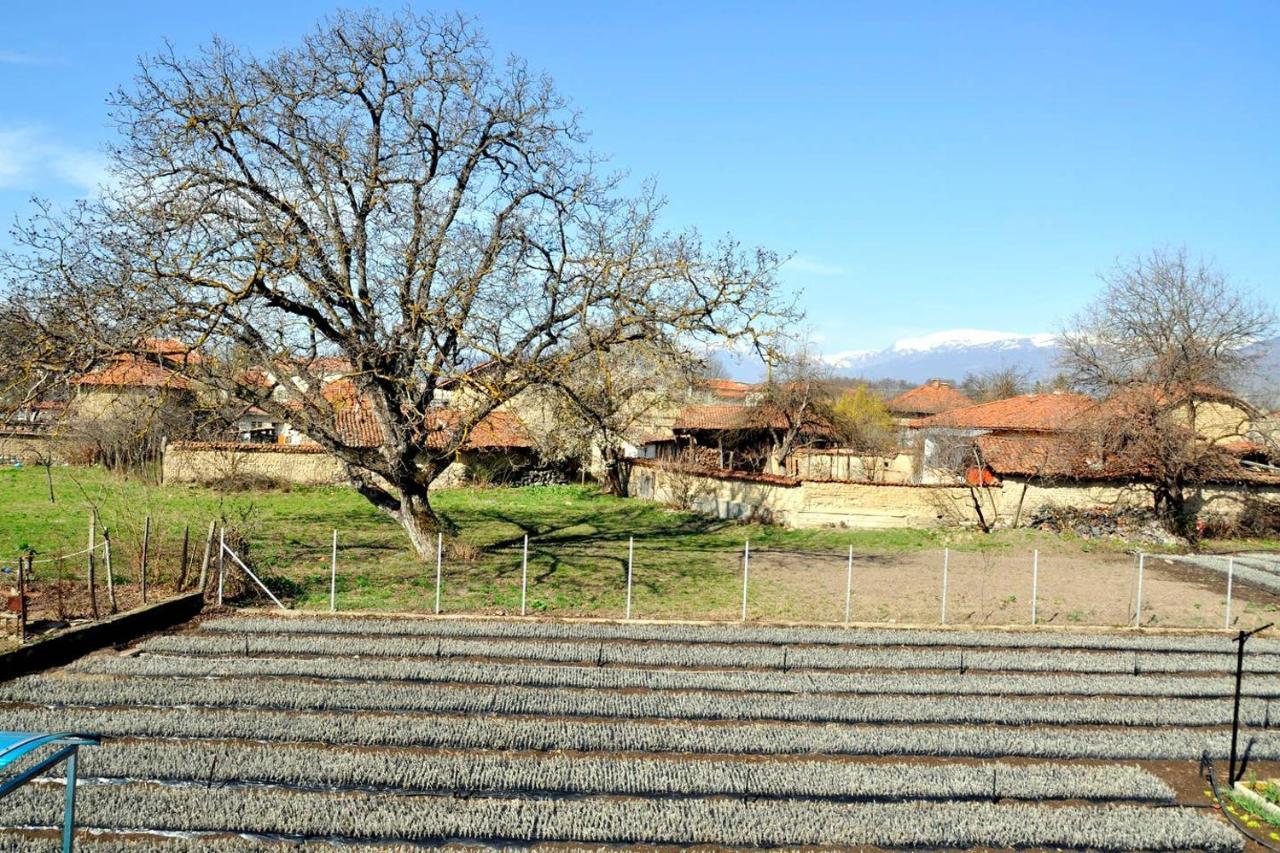 Vila V S. Gabarevo, Dolinata Na Rozite. 빌라 외부 사진