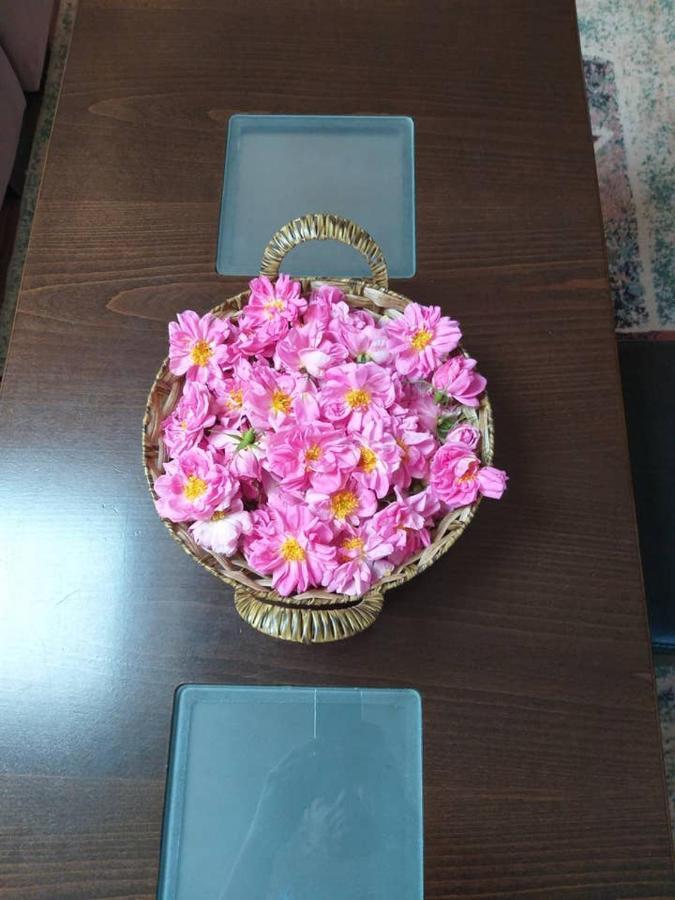 Вила В С. Габарево, Долината На Розите. Gabarevo 외부 사진